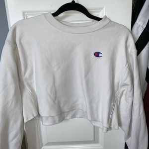 Champion cropped hoodie